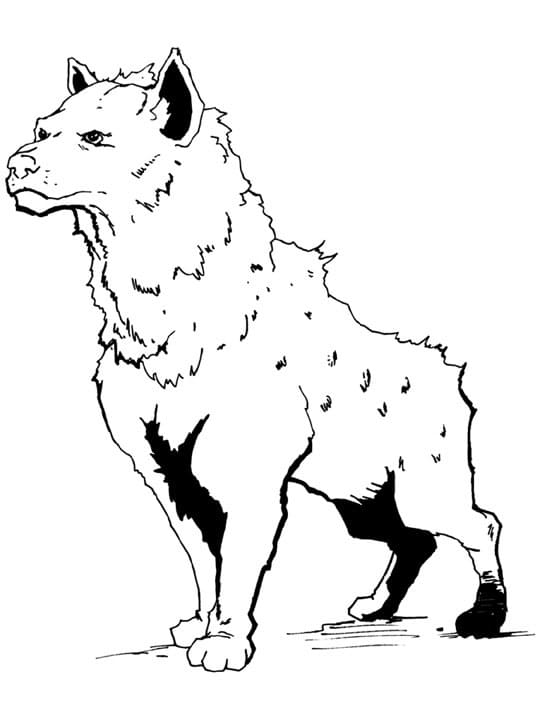 Cool Hyena Coloring Page