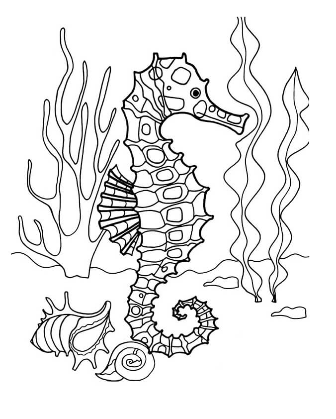 Cool Seahorse Coloring Page