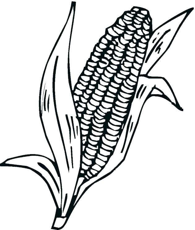 Corn Printables