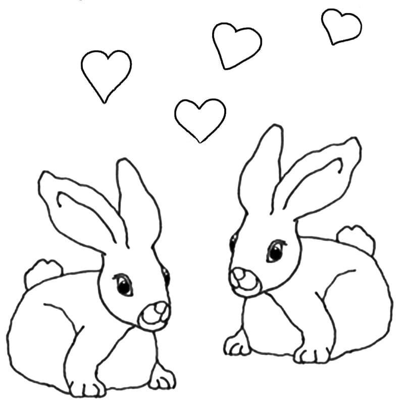 Couple Rabbits Coloring Page