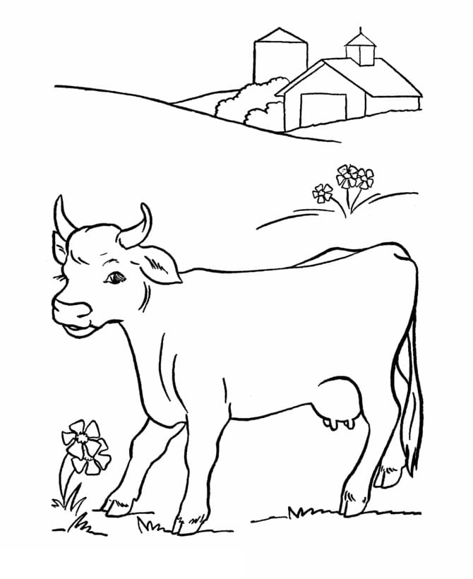 Cow 11 Coloring Page