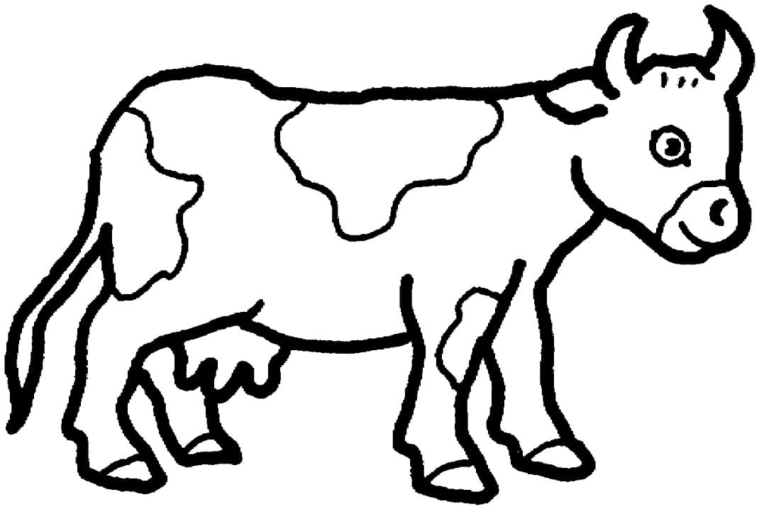 Cow 3 Coloring Page