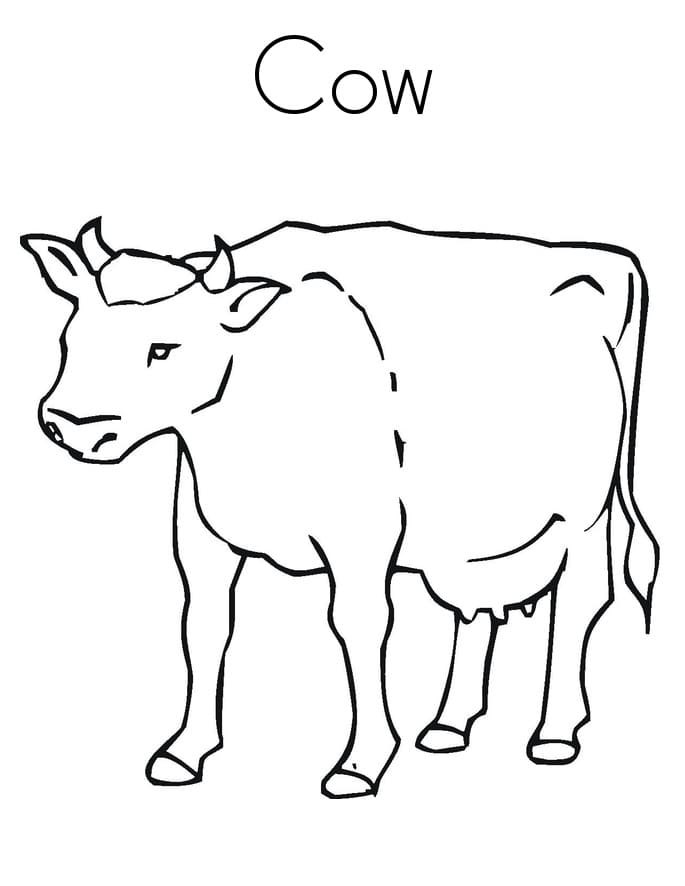 Cow 8 Coloring Page