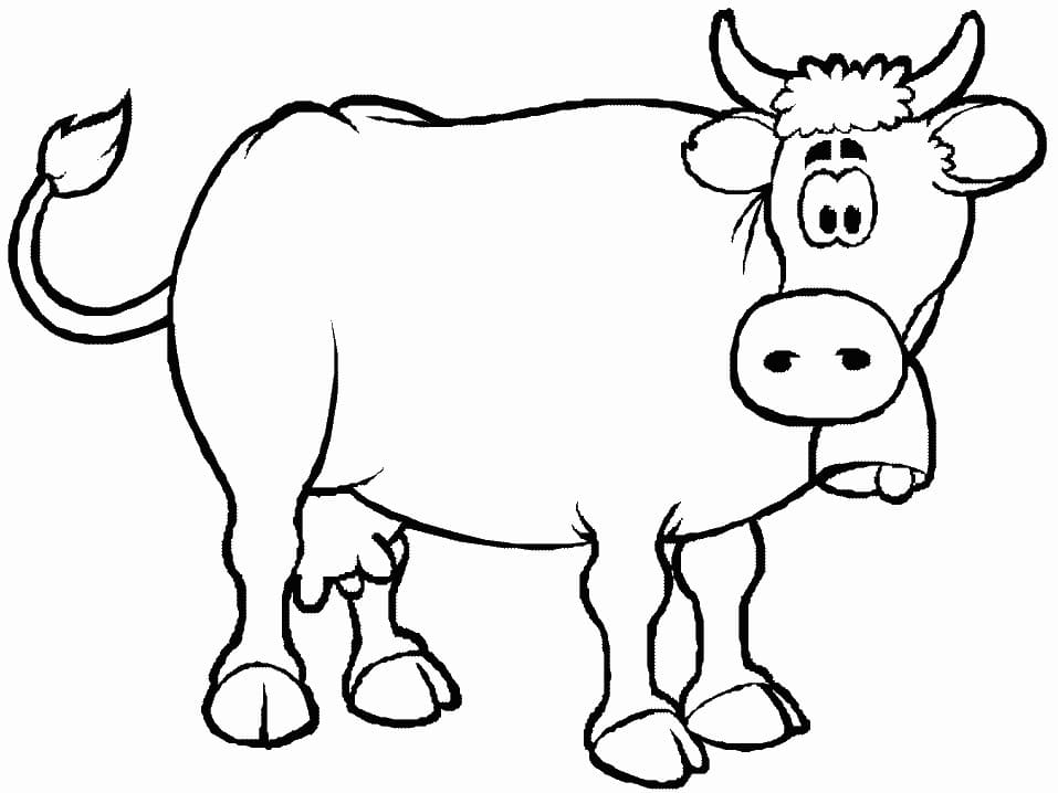 Cow 9 Coloring Page