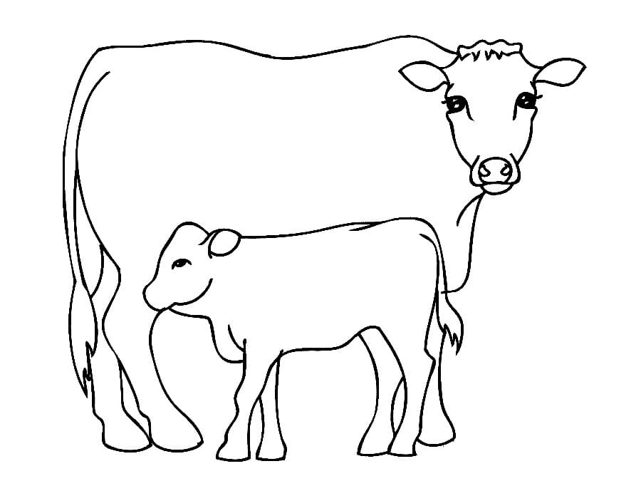 Cow and Calf 2 Coloring Page