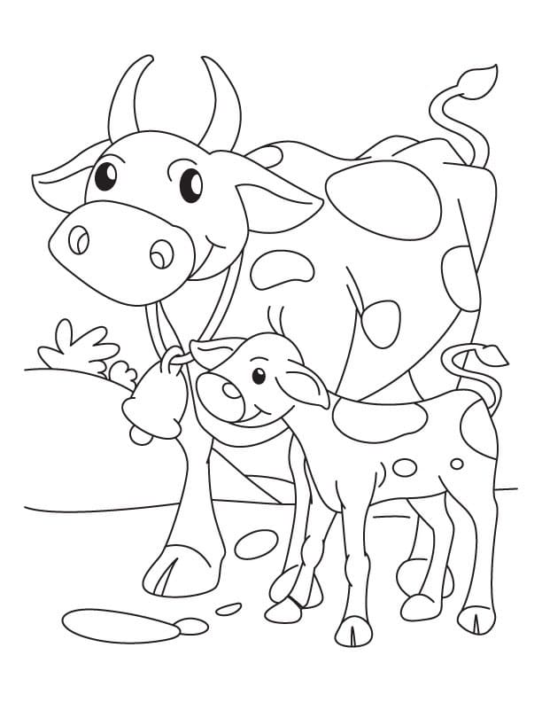 Cow and Calf Coloring Page
