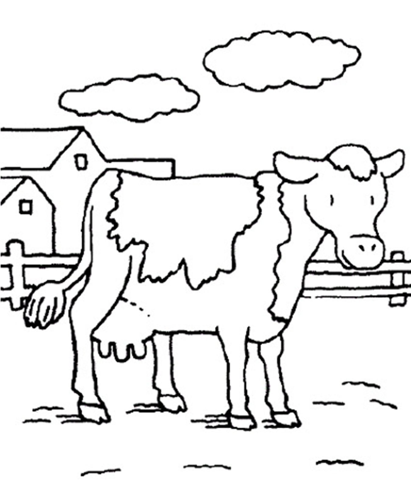 Cow S Animal Farm0660