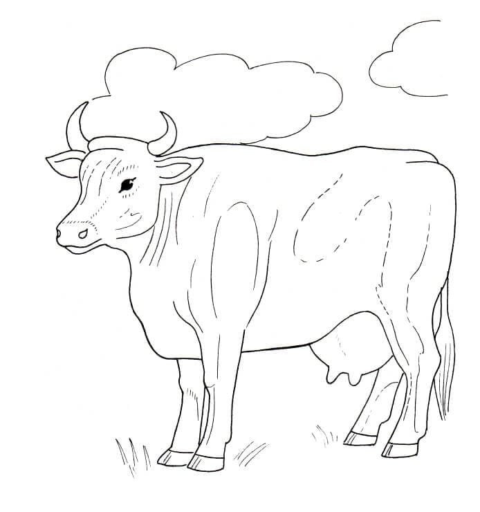 Cow with Clouds