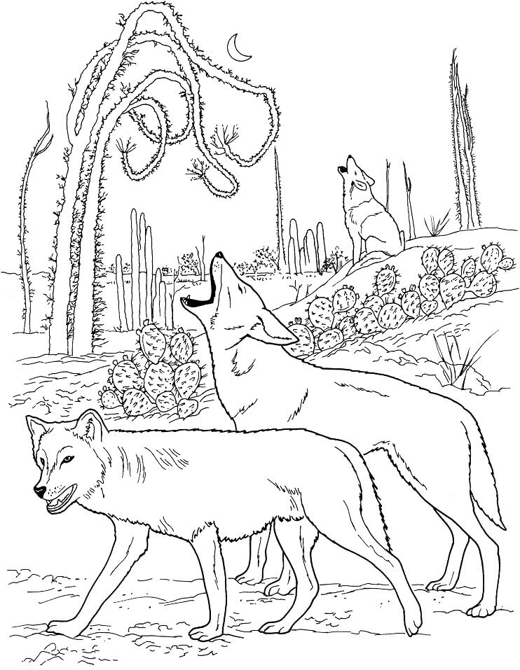 Coyotes Howling in Desert Coloring Page