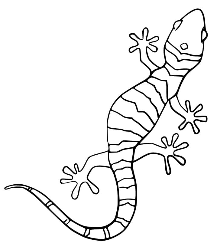 Crawling Gecko Coloring Page
