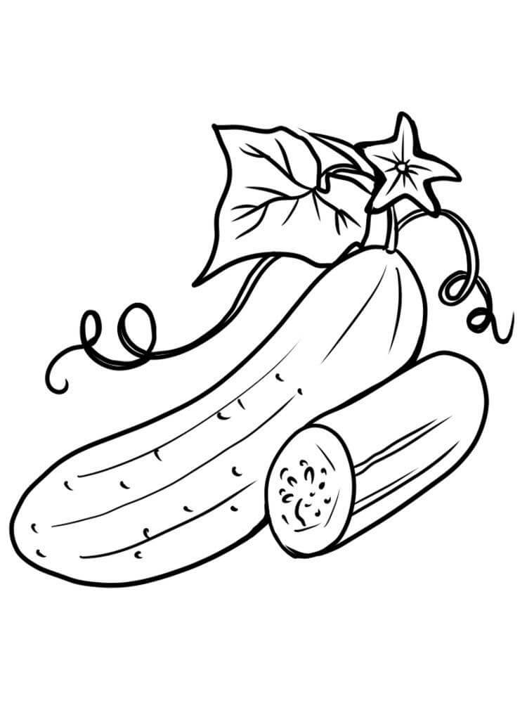 Cucumber 3 Coloring Page