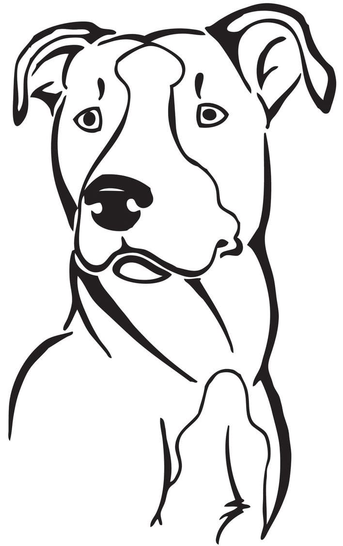 Curious Pitbull Coloring Page