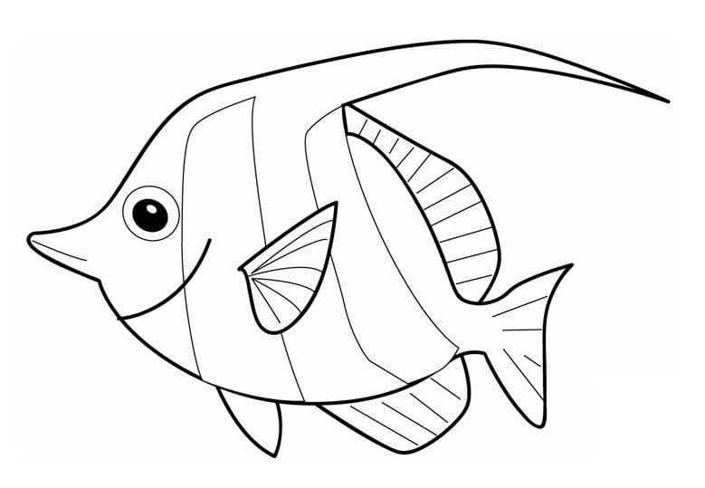 Cute Angelfish Coloring Page