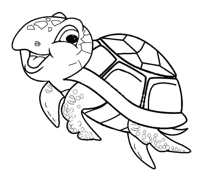 Cute Baby Sea Turtle Coloring Page
