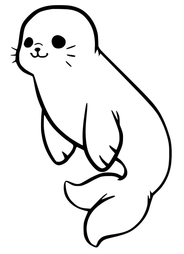 Cute Baby Seal Coloring Page