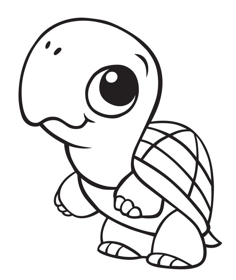 Cute Baby Turtle Coloring Page