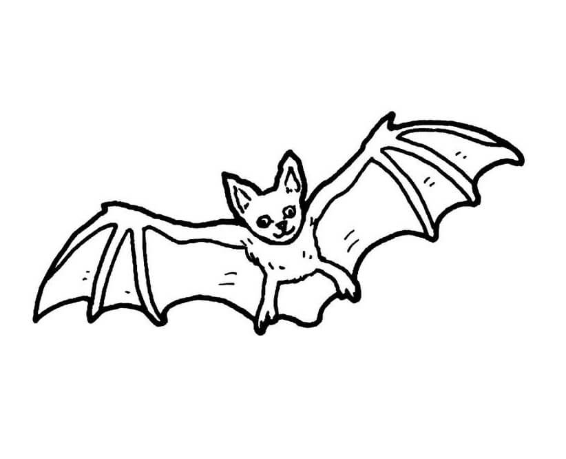 Cute Bat Coloring Page