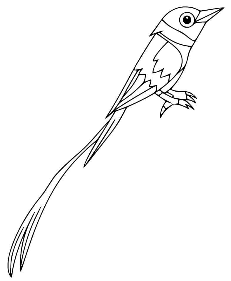 Cute Bird of Paradise Coloring Page