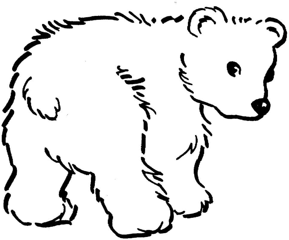 Cute Brown Bear Coloring Page