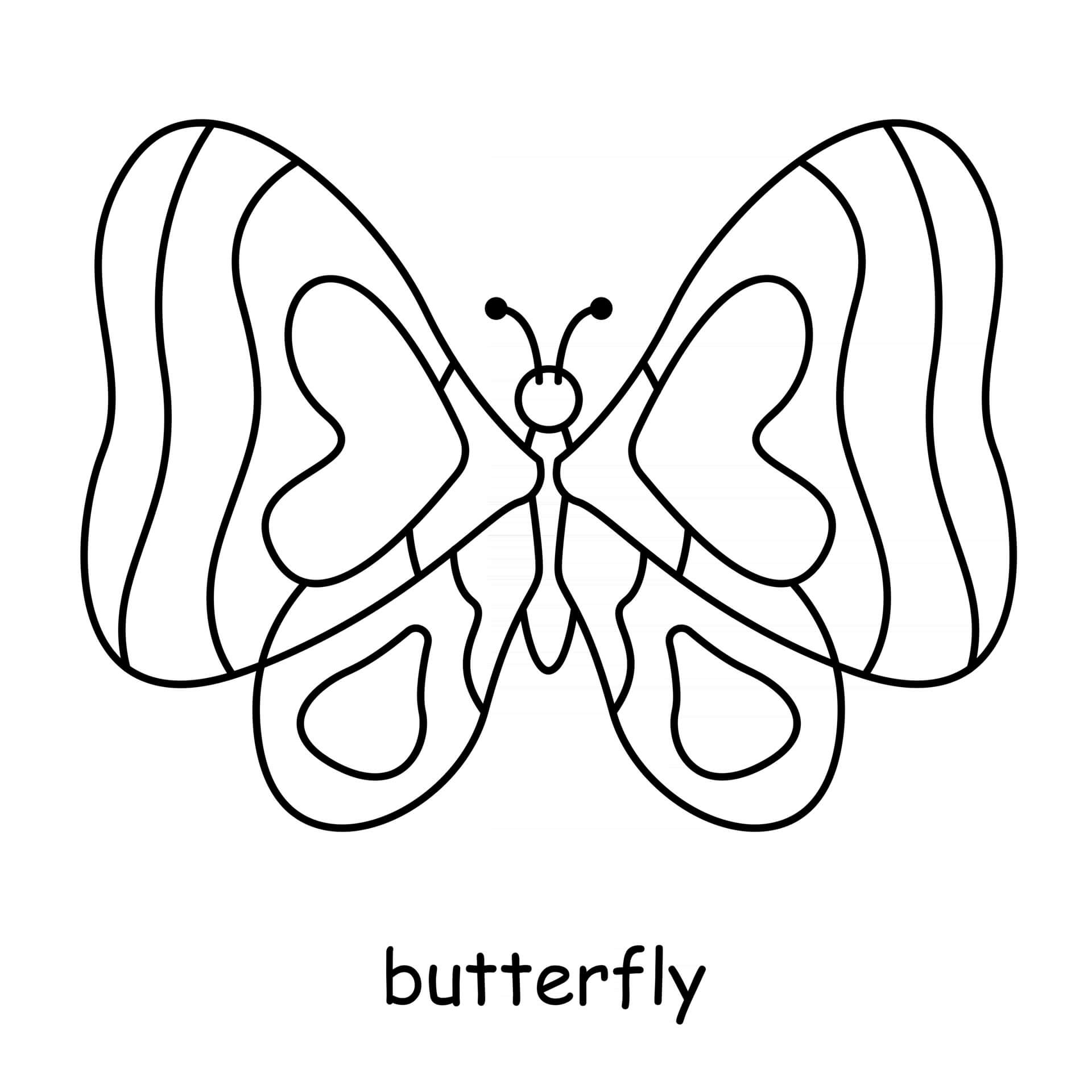 Cute Butterfly