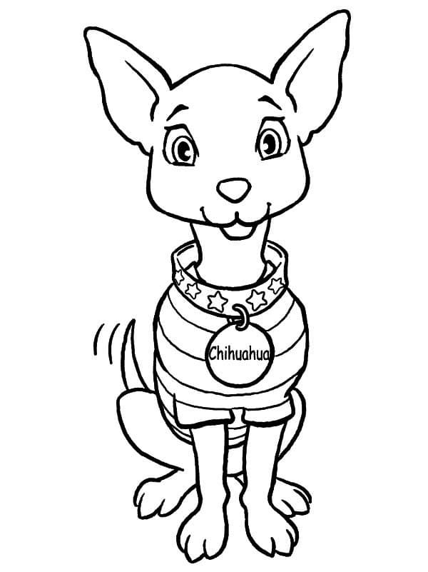 Cute Chihuahua Dog Coloring Page