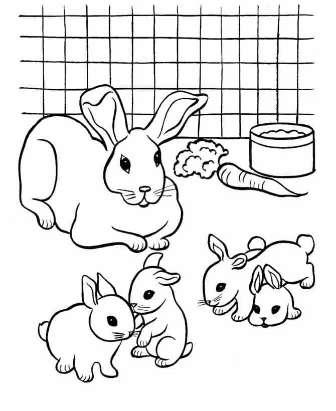 Cute Family Rabbits