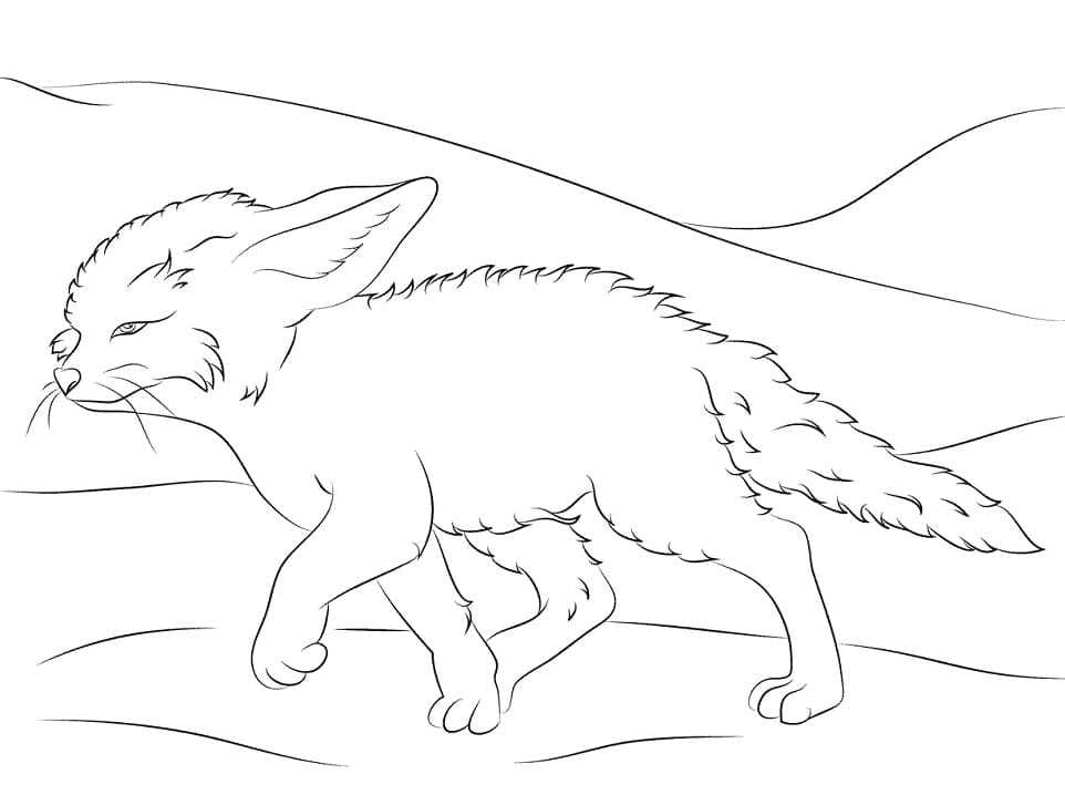 Cute Fennec Fox Coloring Page