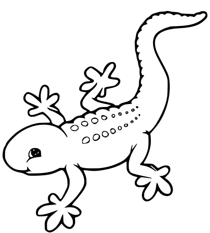 Cute Gecko Coloring Page