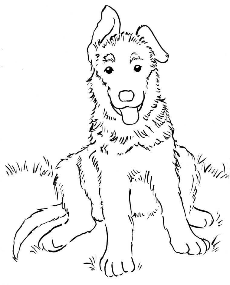 Cute German Shepherd Coloring Page