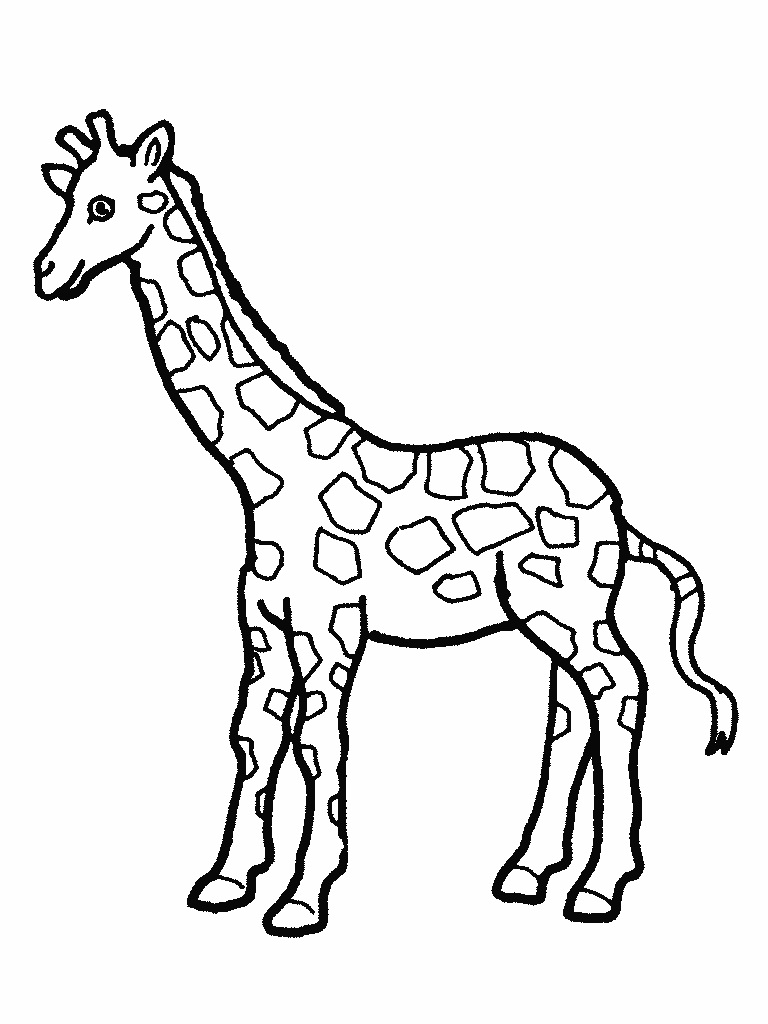 Cute Giraffes Coloring Page