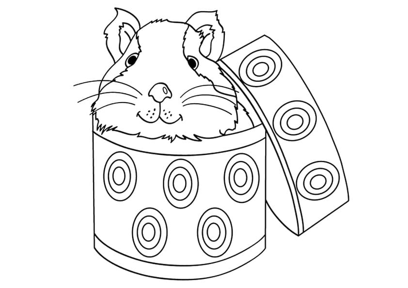 Cute Guinea Pig 1 Coloring Page