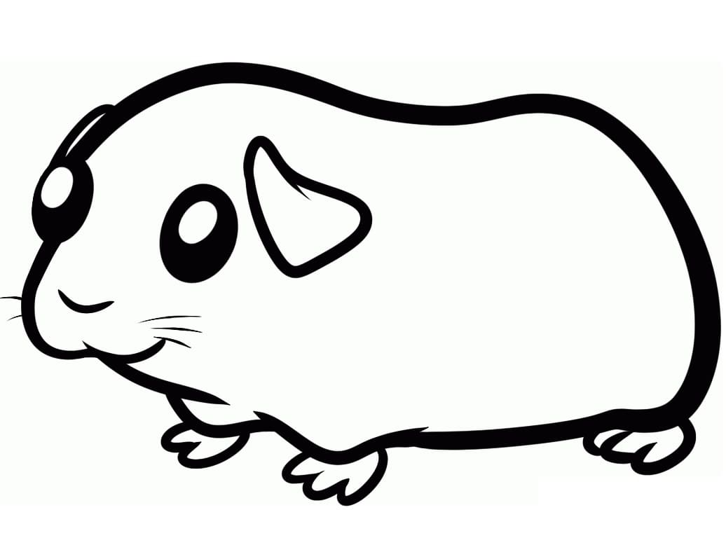 Cute Guinea Pig 3 Coloring Page