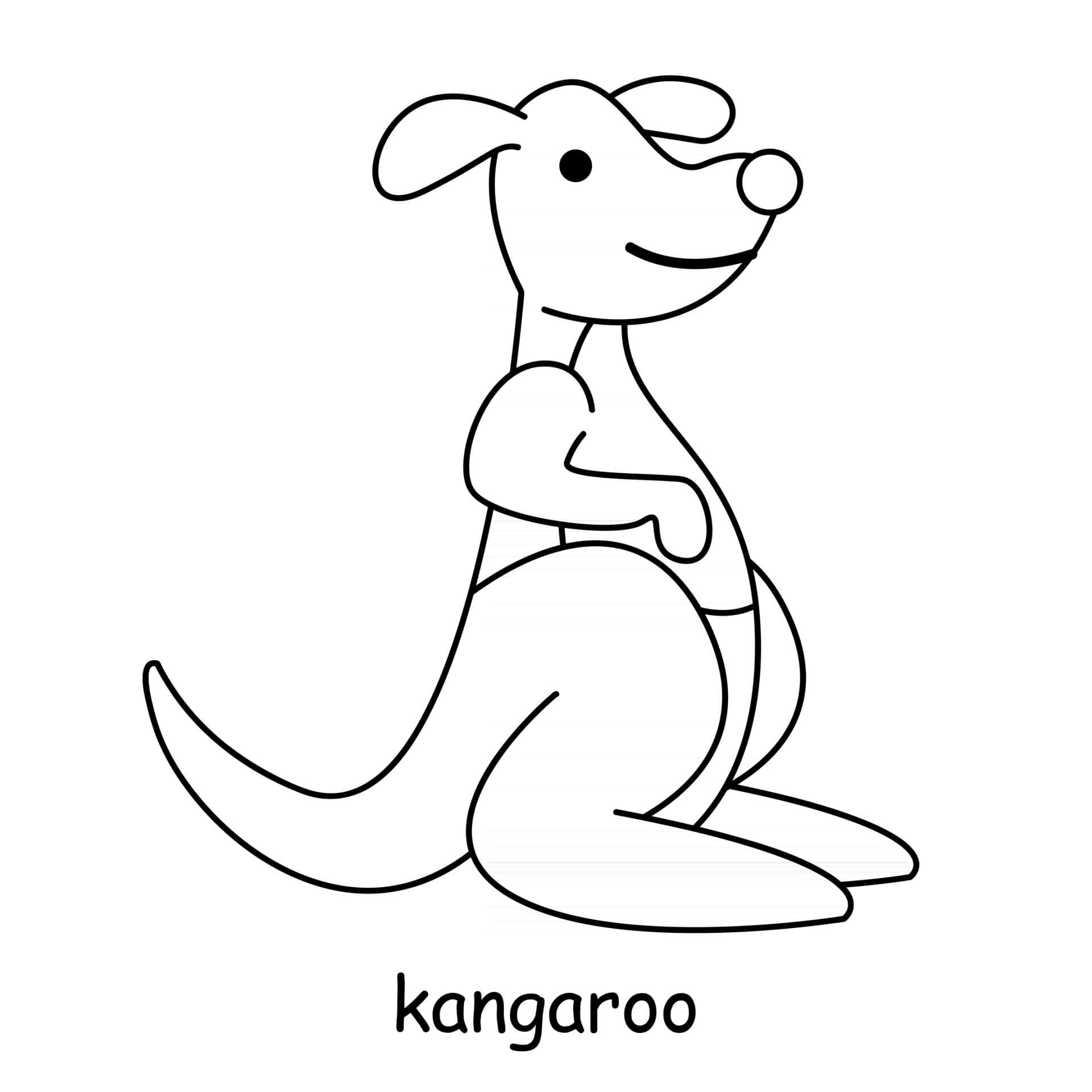Cute Kangaroo