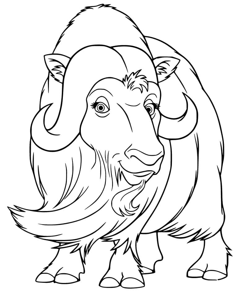 Cute Musk Ox Coloring Page