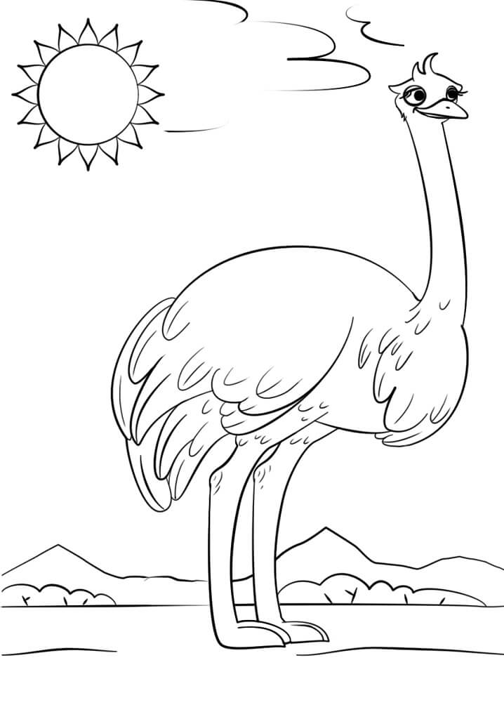 Cute Ostrich Coloring Page