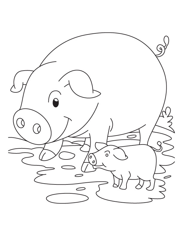 Cute Pig And Piglet S5ee1 Coloring Page