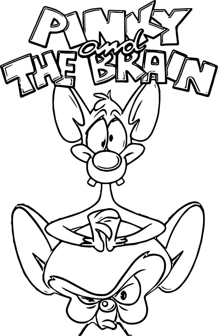 Cute Pinky and the Brain