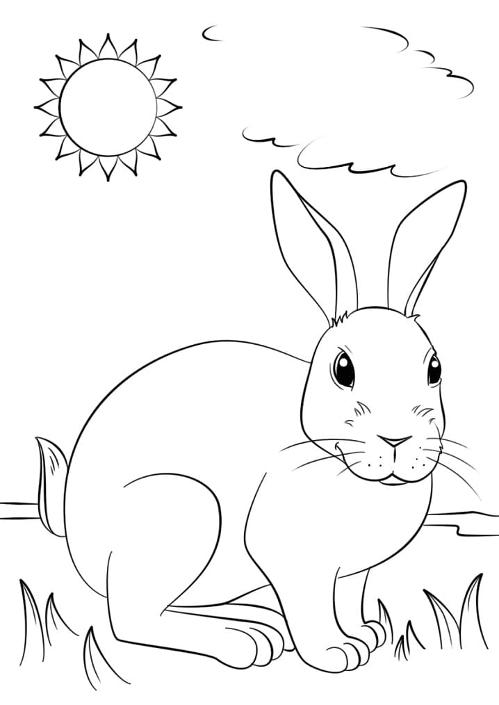 Cute Rabbit on Grass Coloring Page