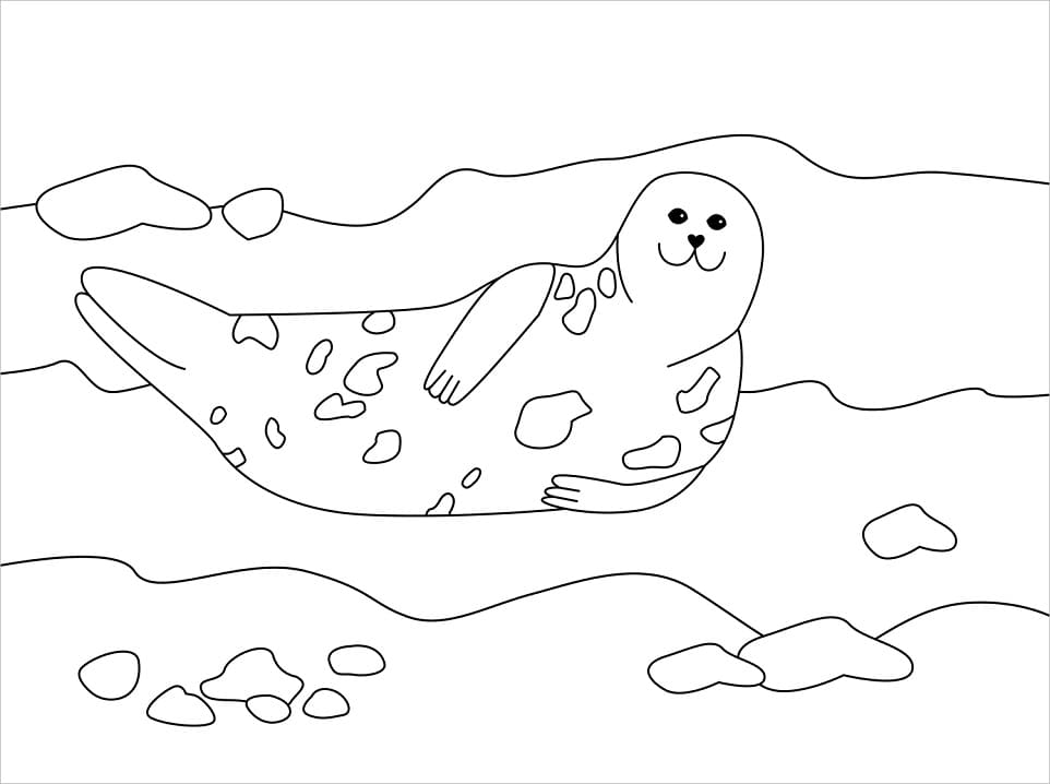 Cute Seal Swimming Coloring Page