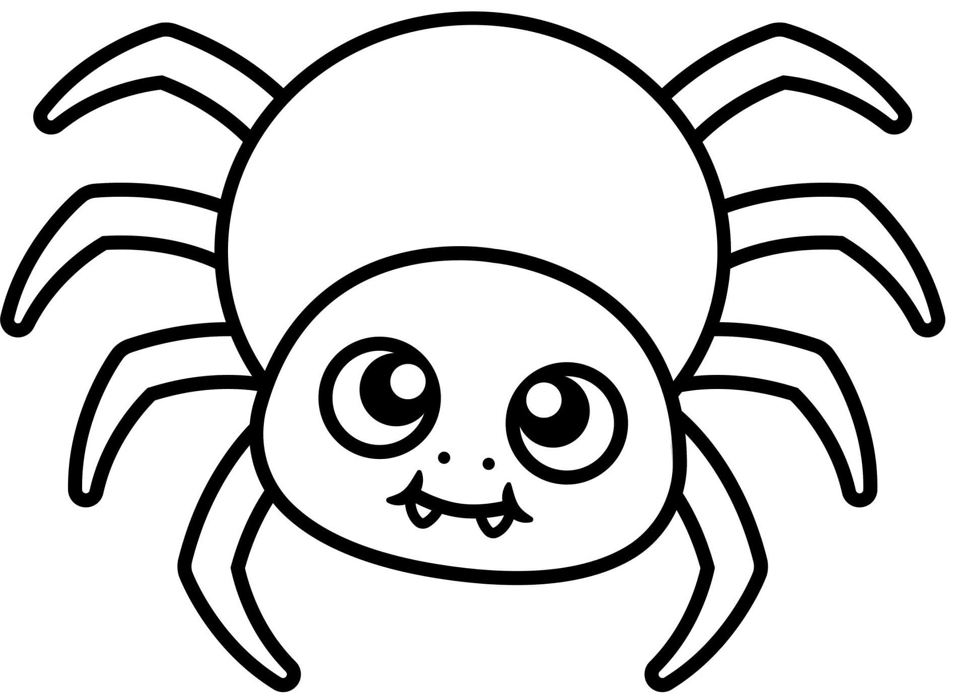 Cute Spider Easy Kid