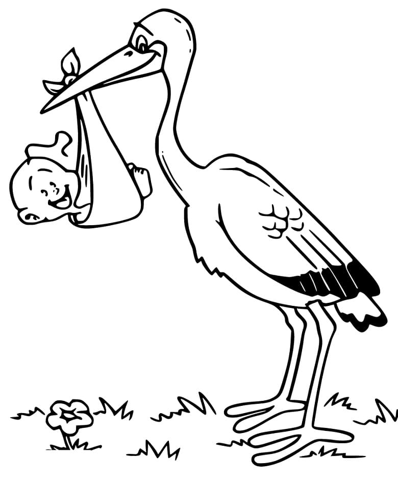 Cute Stork and Baby