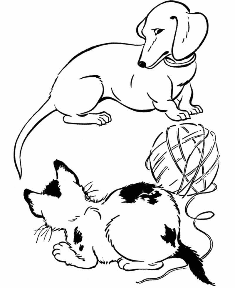 Dachshund and Cat Coloring Page