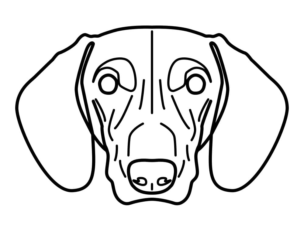 Dachshund Face Coloring Page