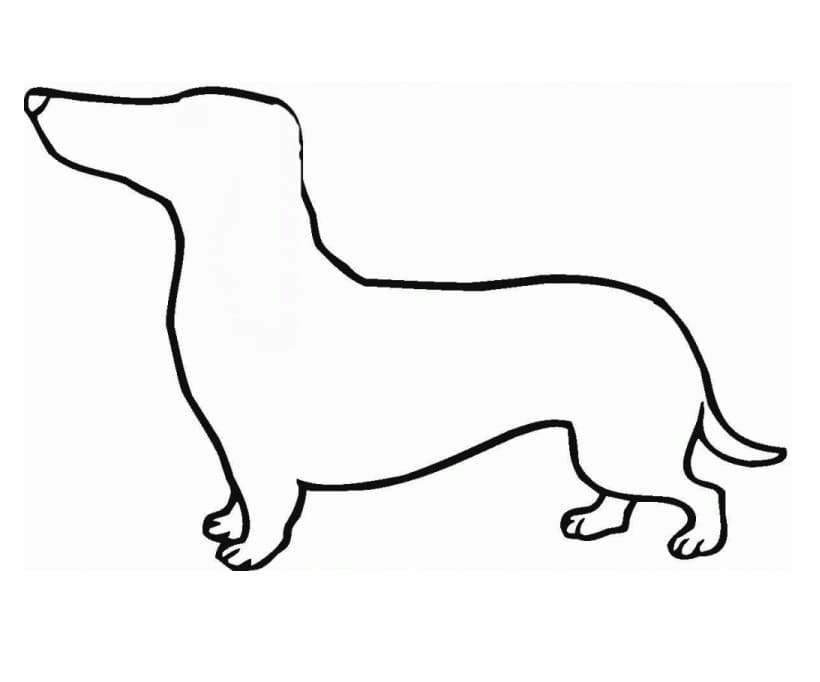 Dachshund Outline Coloring Page