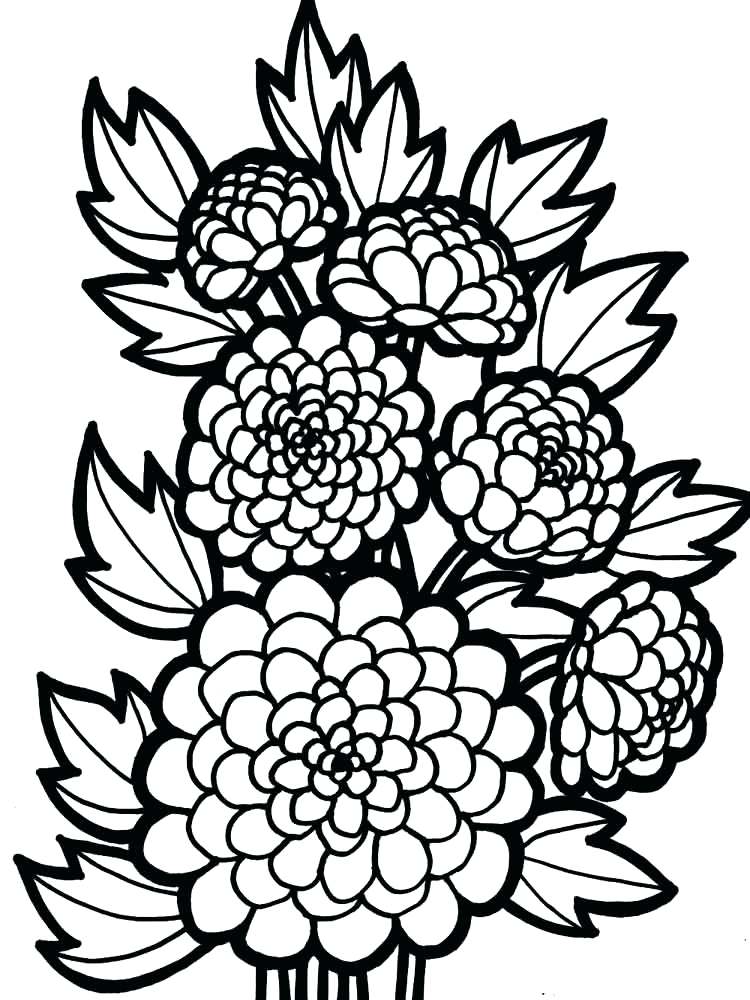 Dahlia Flowers Coloring Page