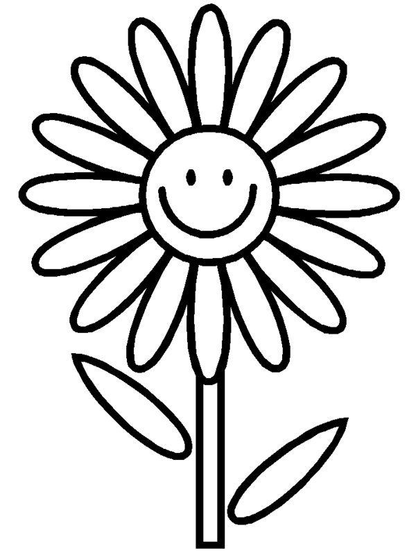 Daisy Flower Easy Simple Coloring Page