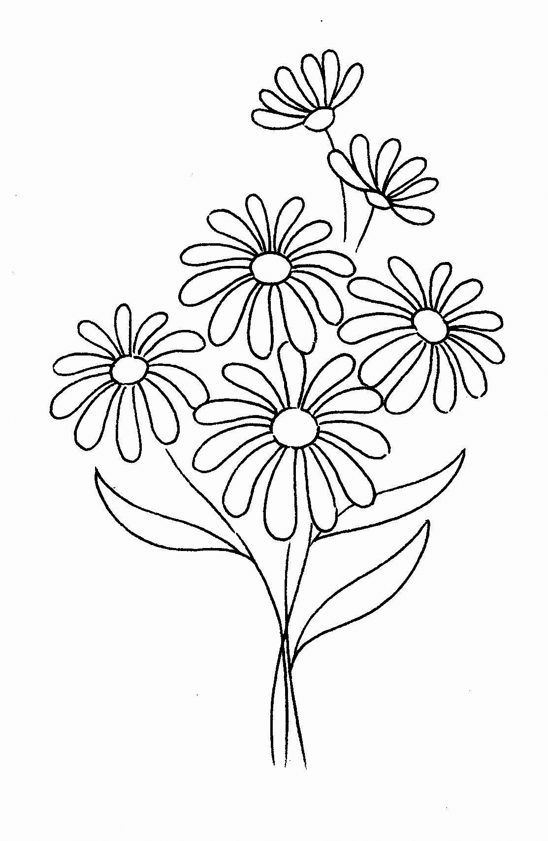 Daisy Flowers Flower