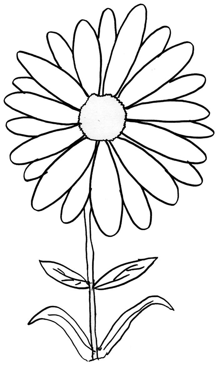 Daisy Printables Coloring Pages   Coloring Cool