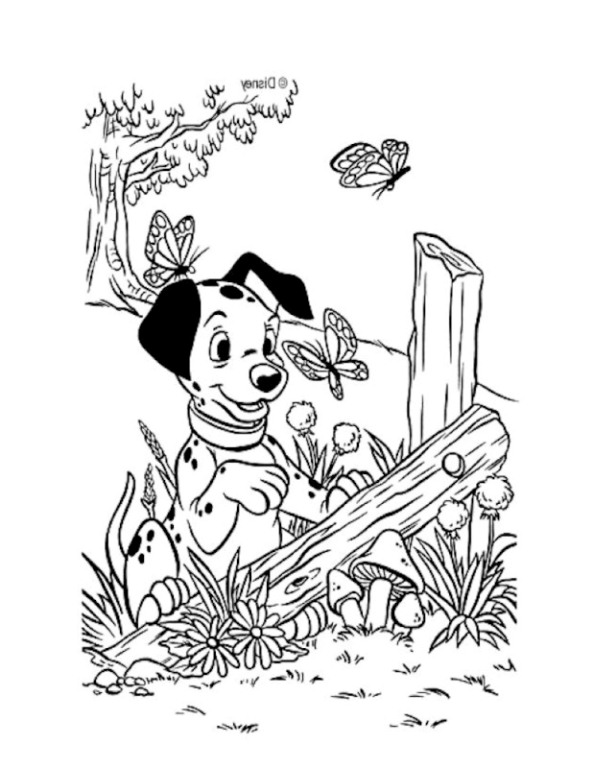 Dalmatian Playing With Butterfly 0d63 Coloring Page