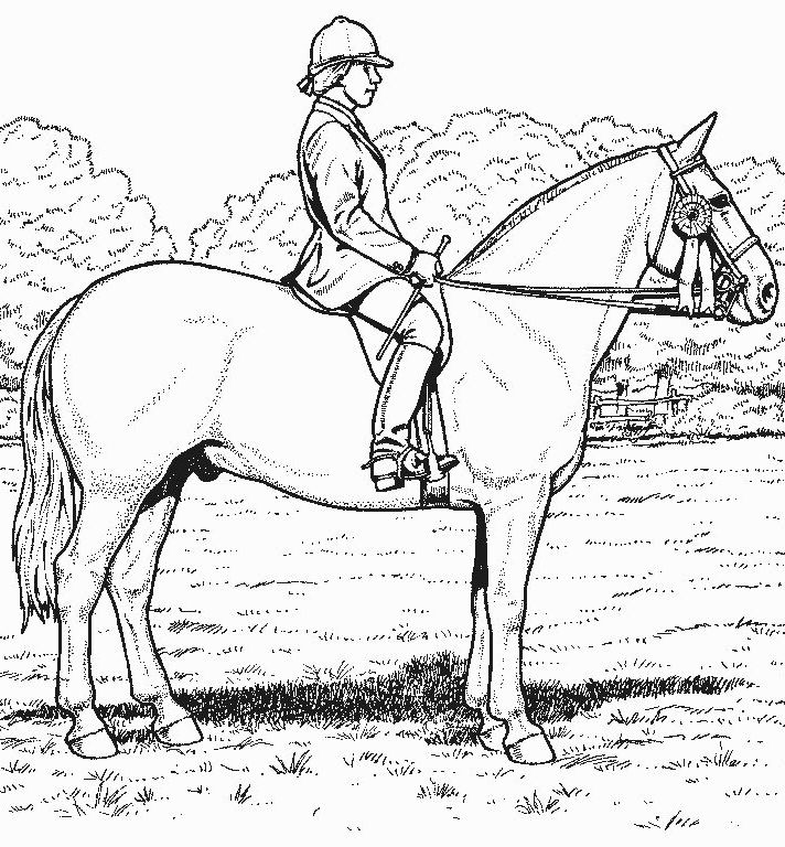 Derby Horse S7e91 Coloring Page